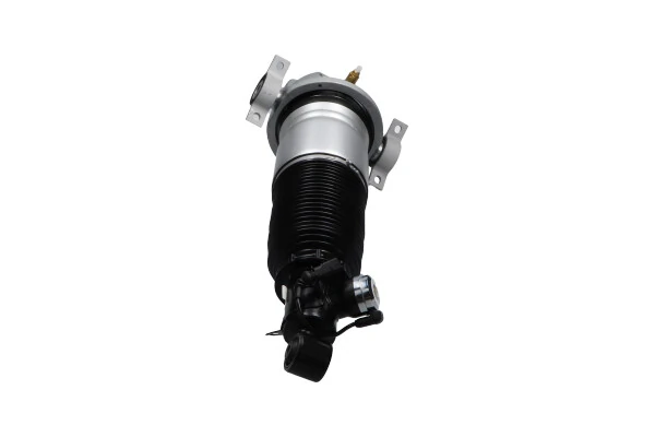 Air Suspension Strut
